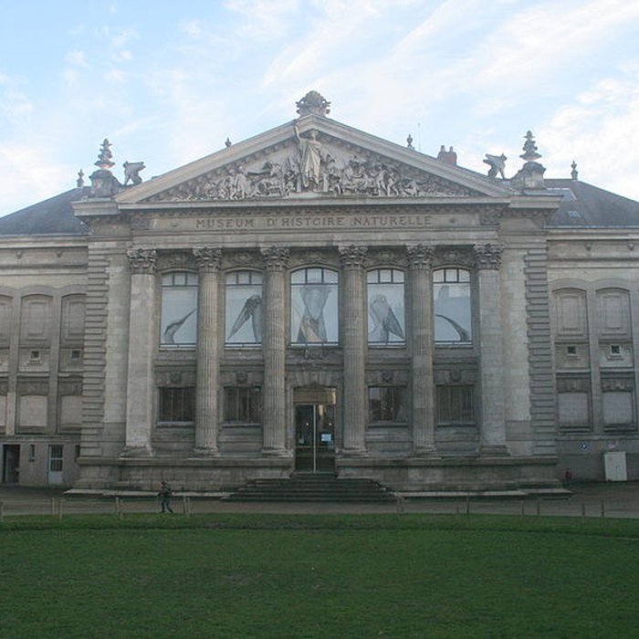 Photo de Muséum dhistoire naturelle de Nantes