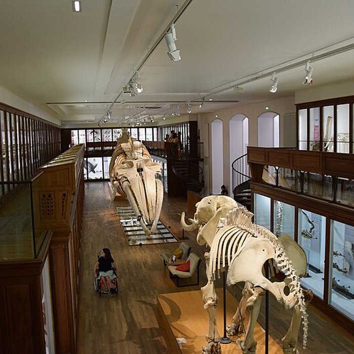 Photo de Muséum dhistoire naturelle de Nantes