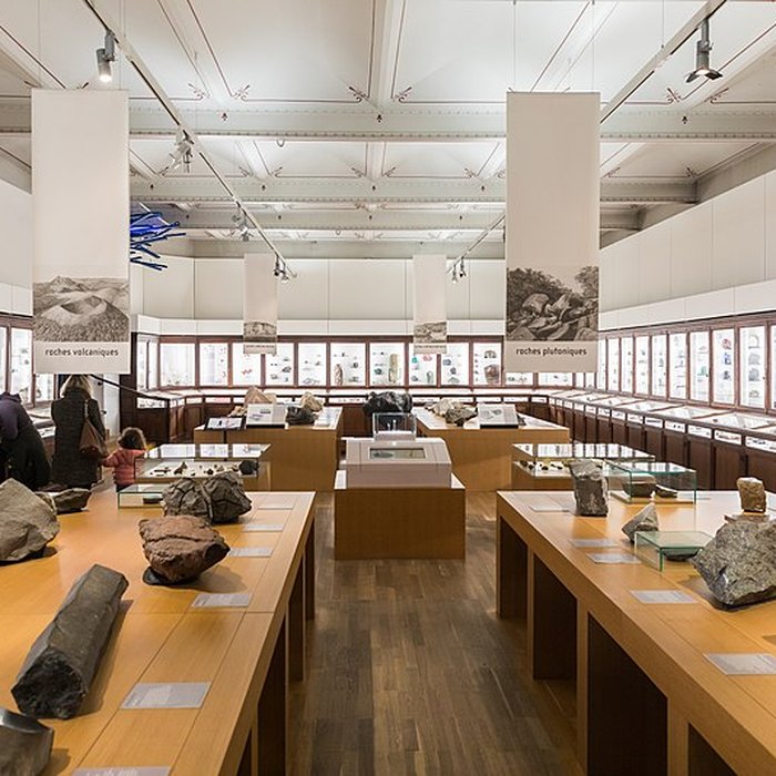 Photo de Muséum dhistoire naturelle de Nantes