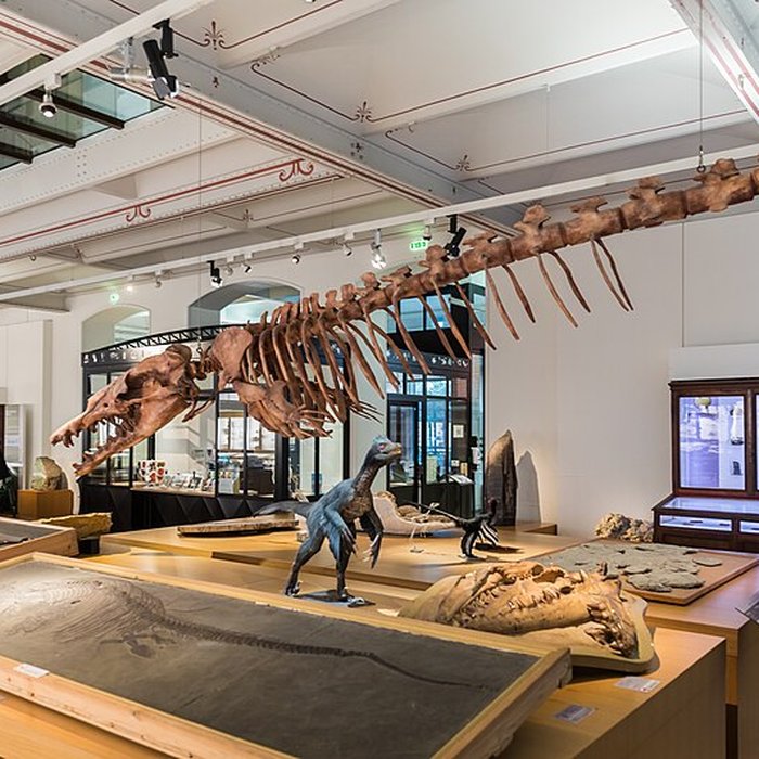 Photo de Muséum dhistoire naturelle de Nantes