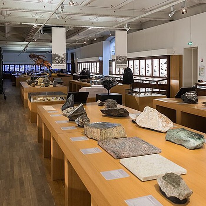 Photo de Muséum dhistoire naturelle de Nantes