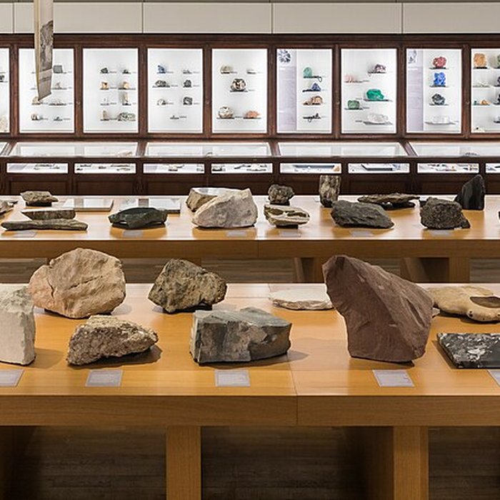 Photo de Muséum dhistoire naturelle de Nantes