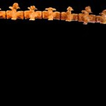 Muséum dhistoire naturelle de Nantes