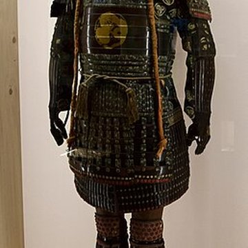 Muséum dhistoire naturelle de Nantes