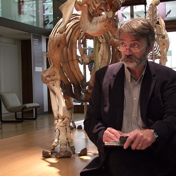 Muséum dhistoire naturelle de Nantes