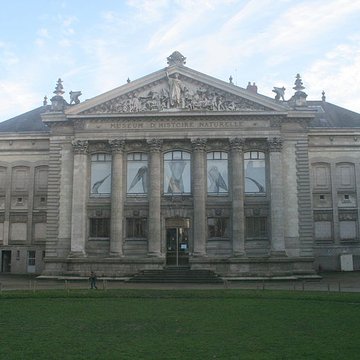 Muséum dhistoire naturelle de Nantes