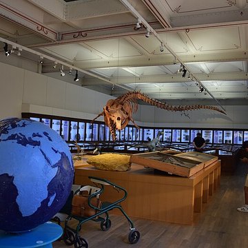 Muséum dhistoire naturelle de Nantes