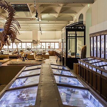 Muséum dhistoire naturelle de Nantes