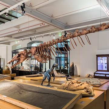 Muséum dhistoire naturelle de Nantes