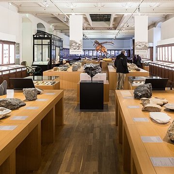 Muséum dhistoire naturelle de Nantes