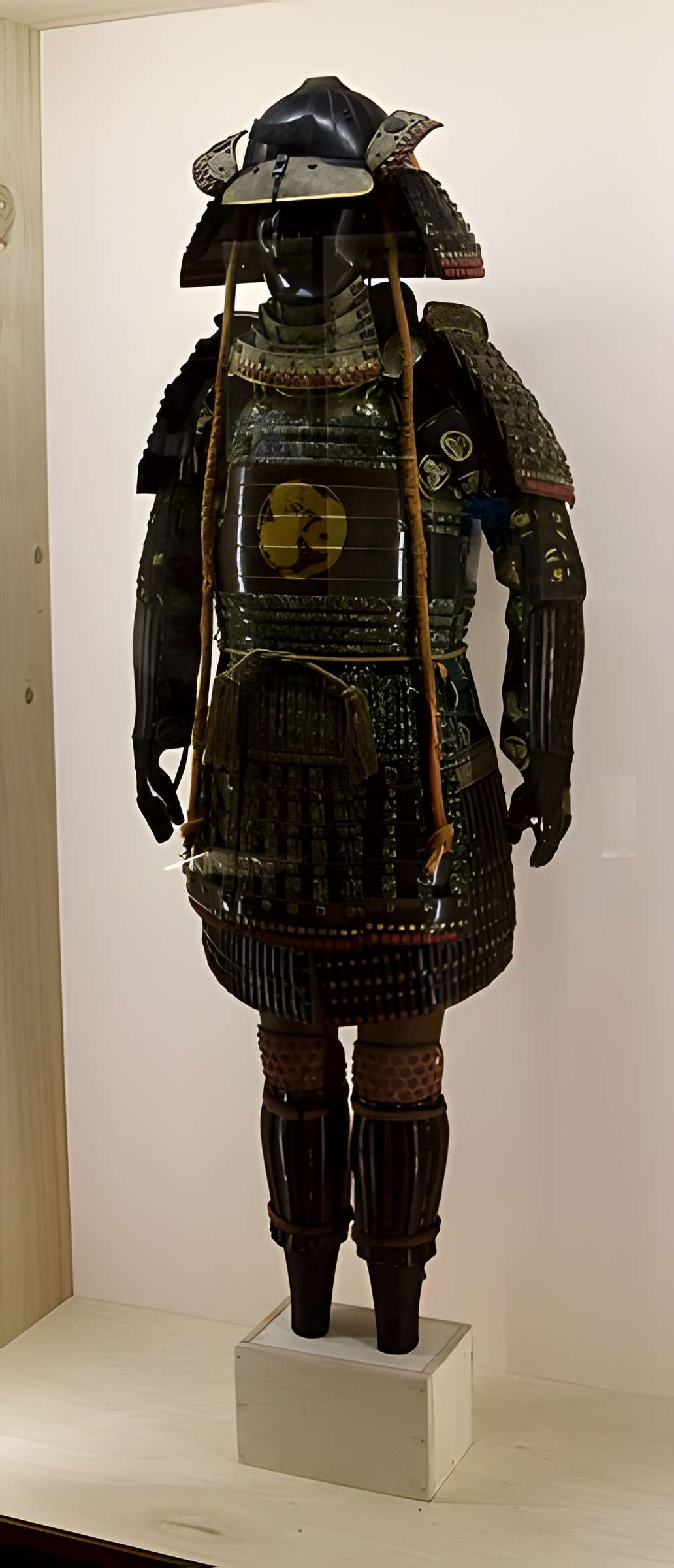 Muséum d'histoire naturelle de Nantes