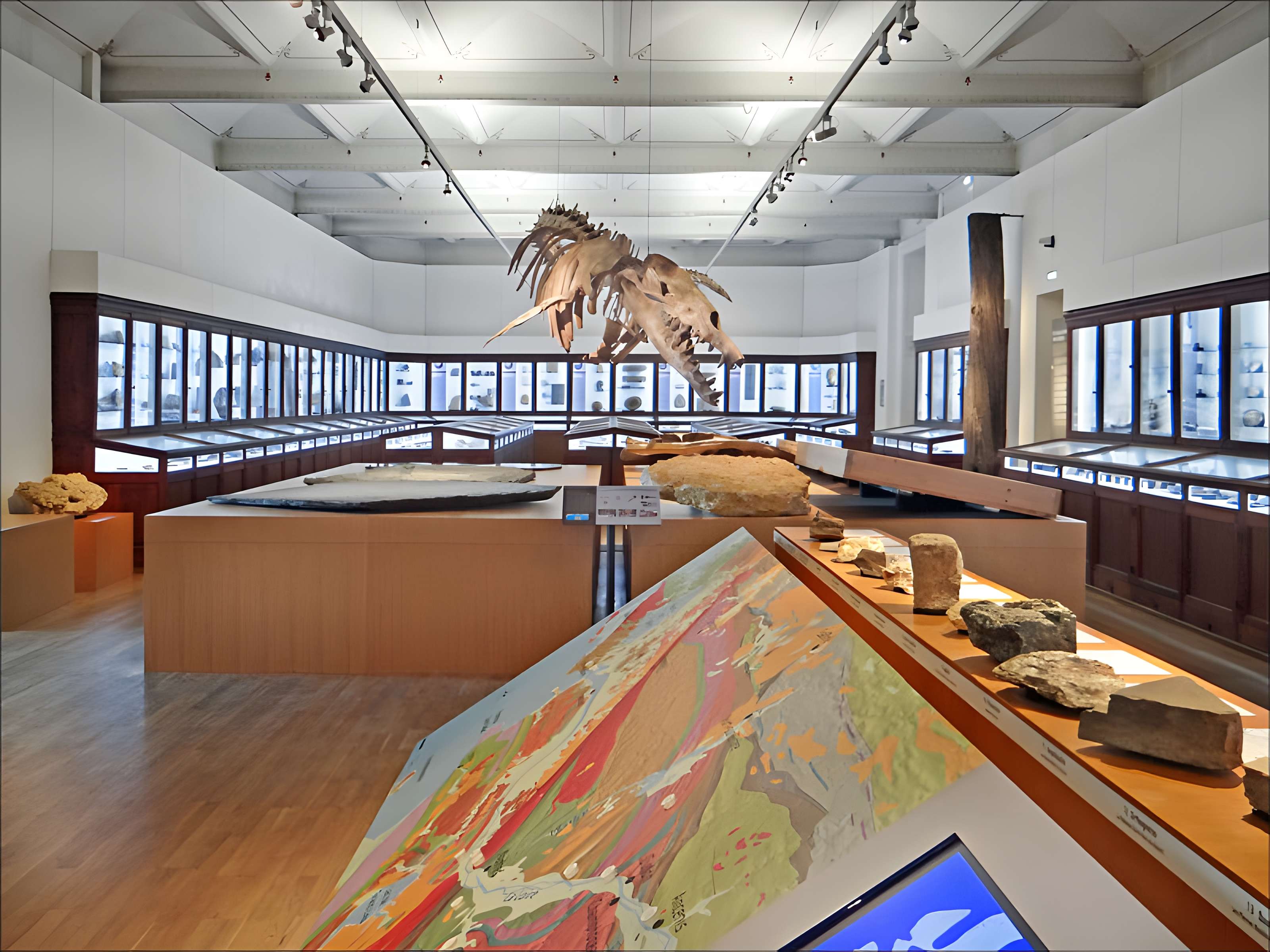 Muséum d'histoire naturelle de Nantes