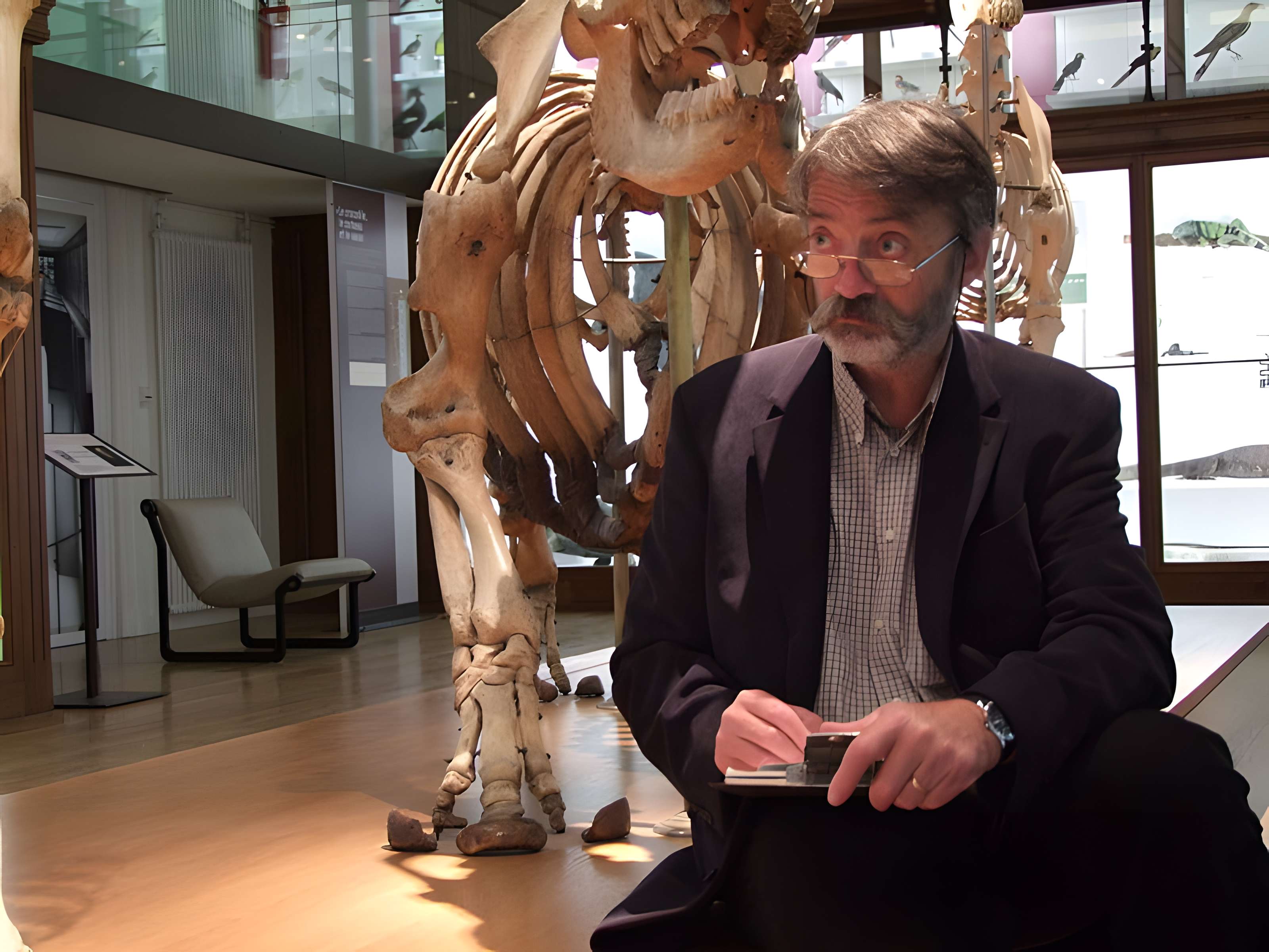 Muséum d'histoire naturelle de Nantes