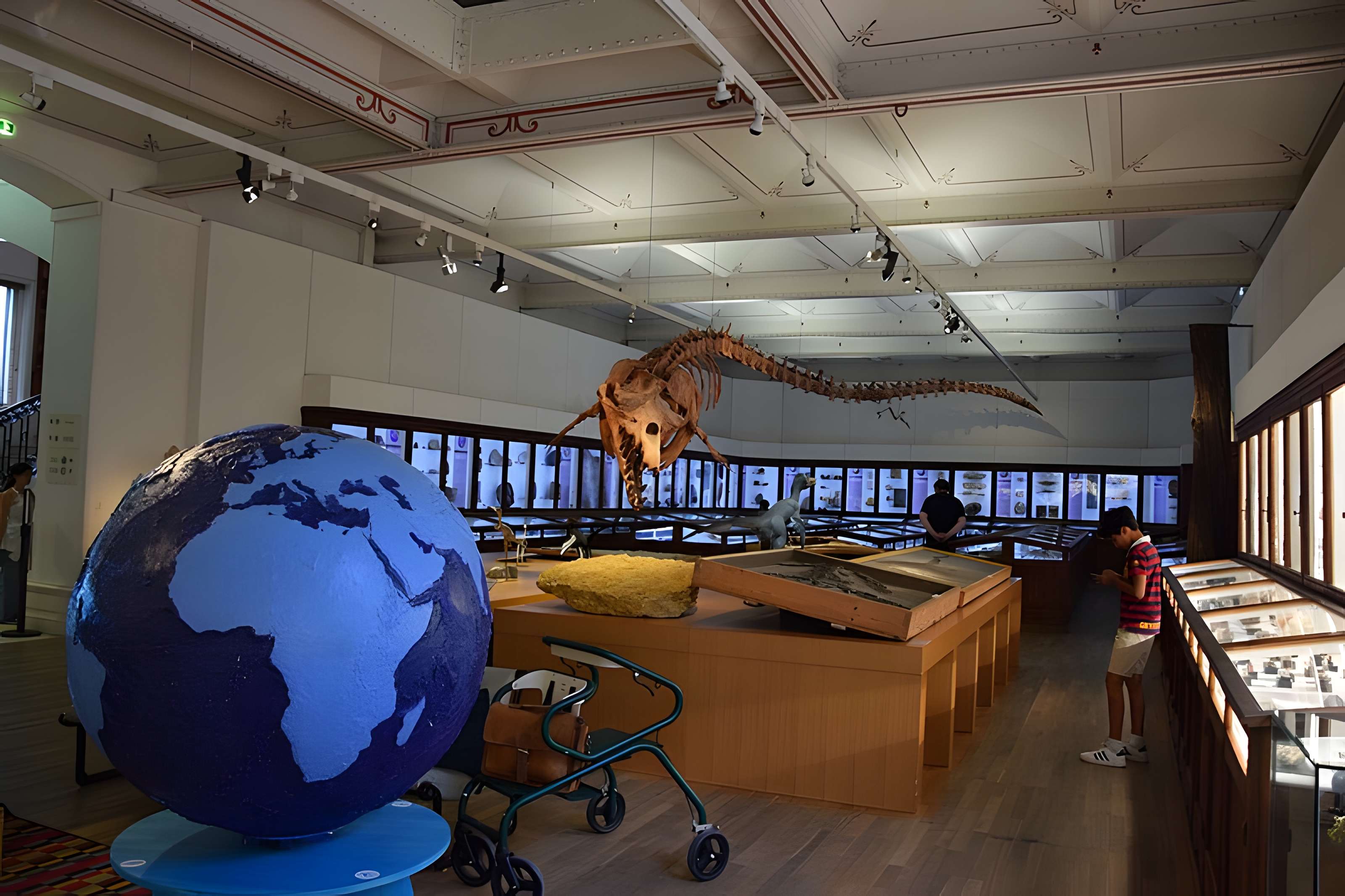 Muséum d'histoire naturelle de Nantes