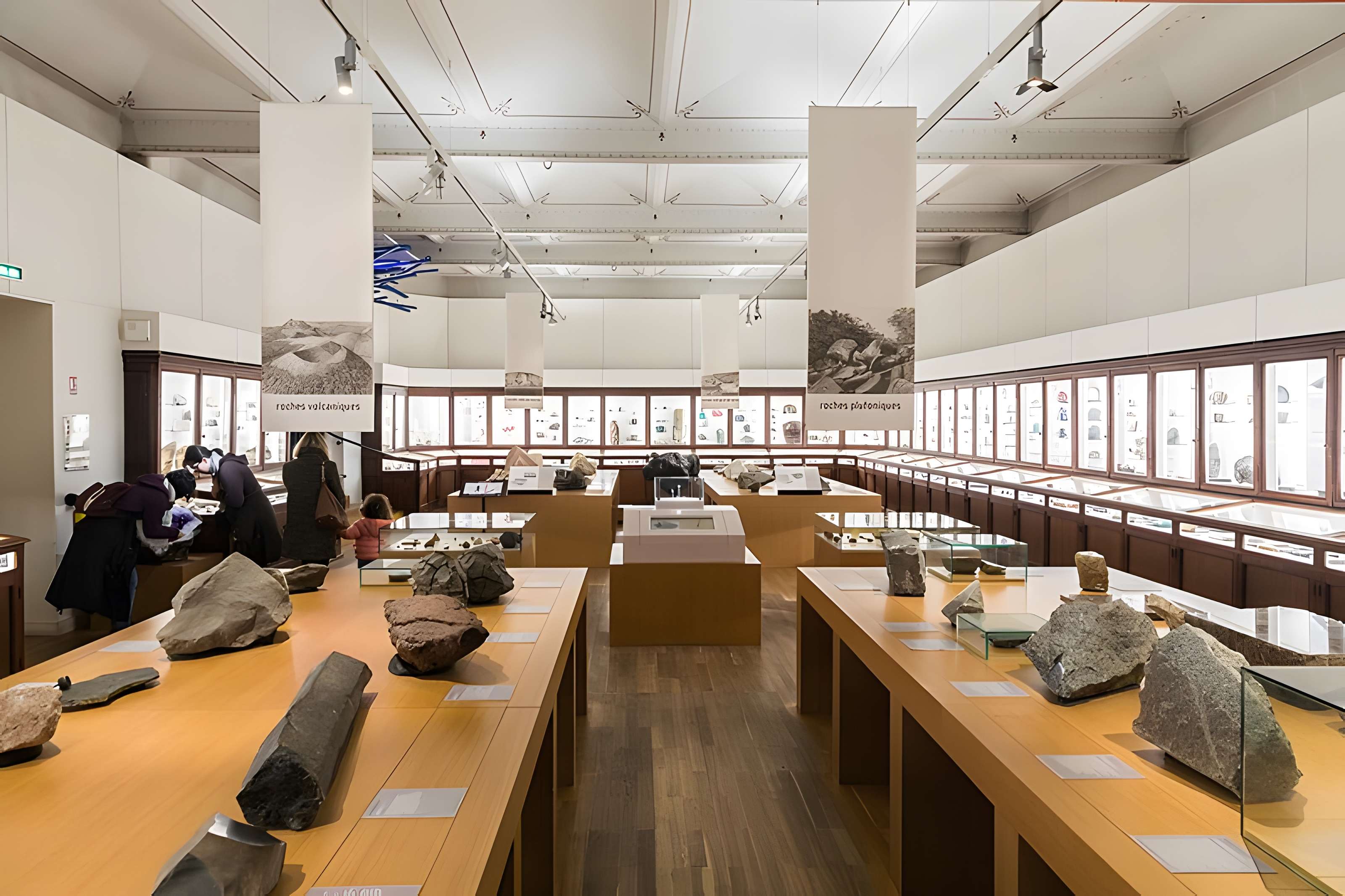 Muséum d'histoire naturelle de Nantes