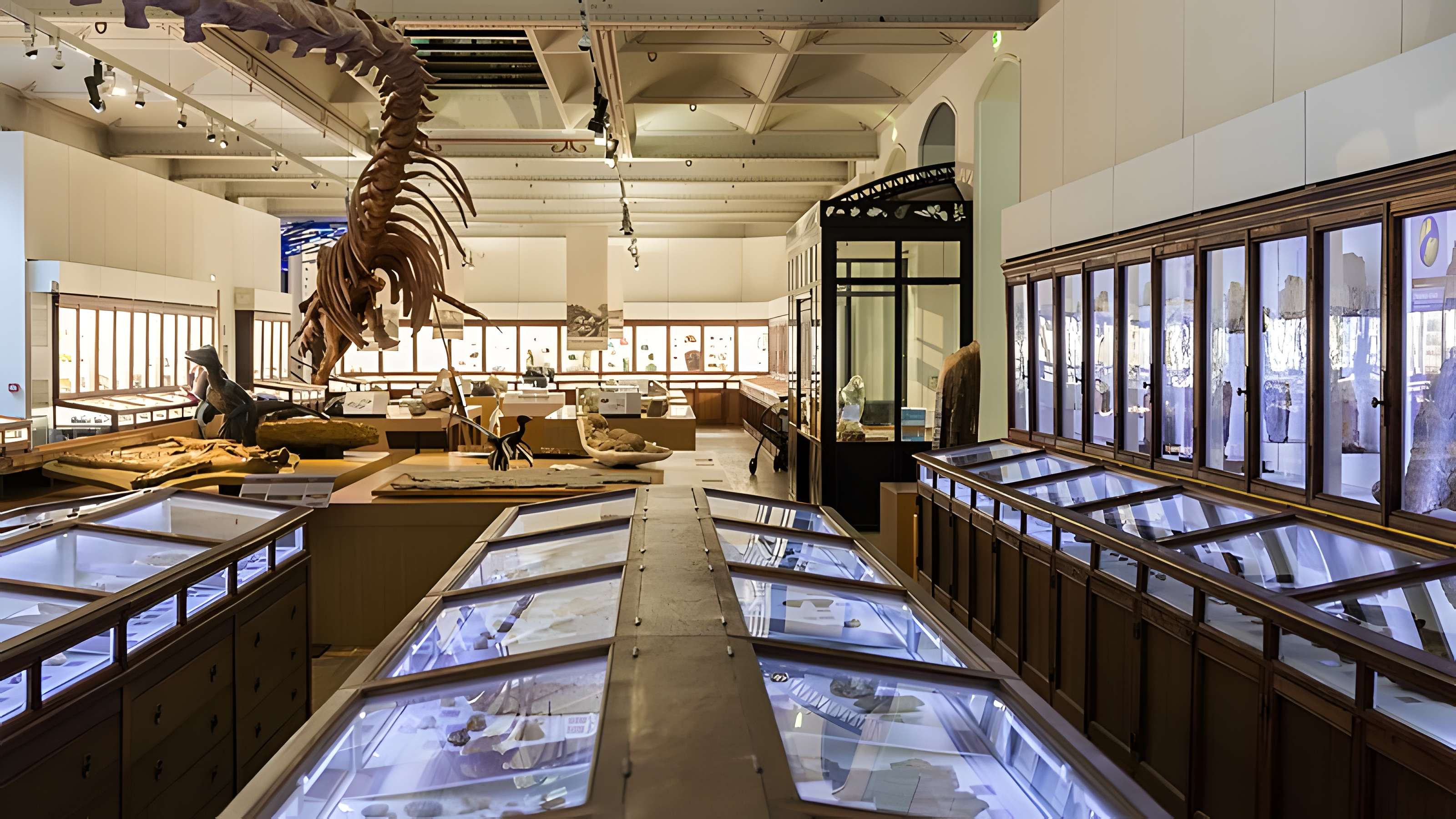 Muséum d'histoire naturelle de Nantes