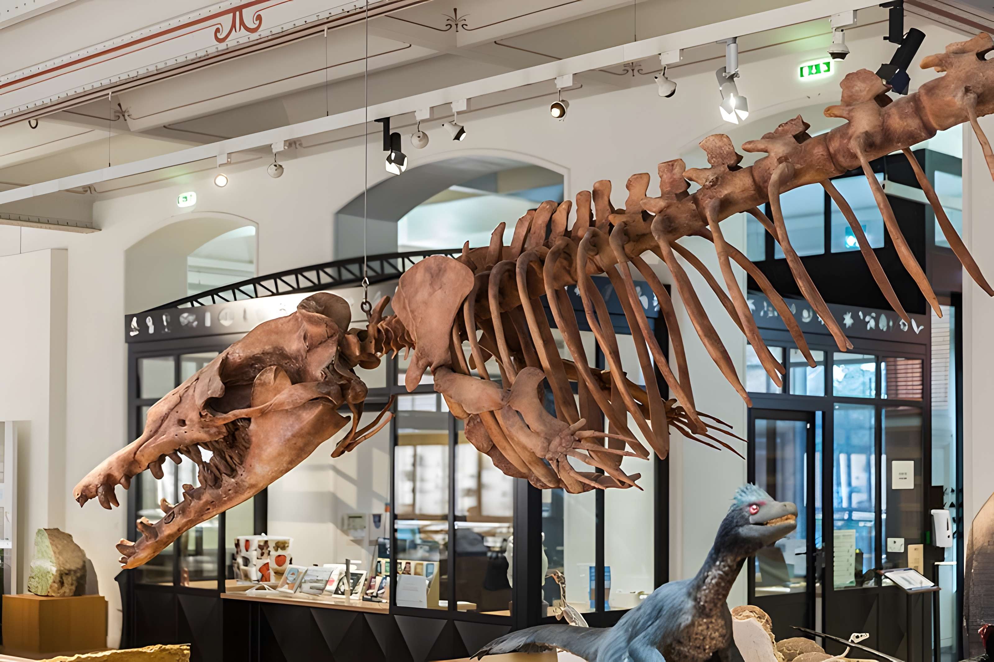 Muséum d'histoire naturelle de Nantes