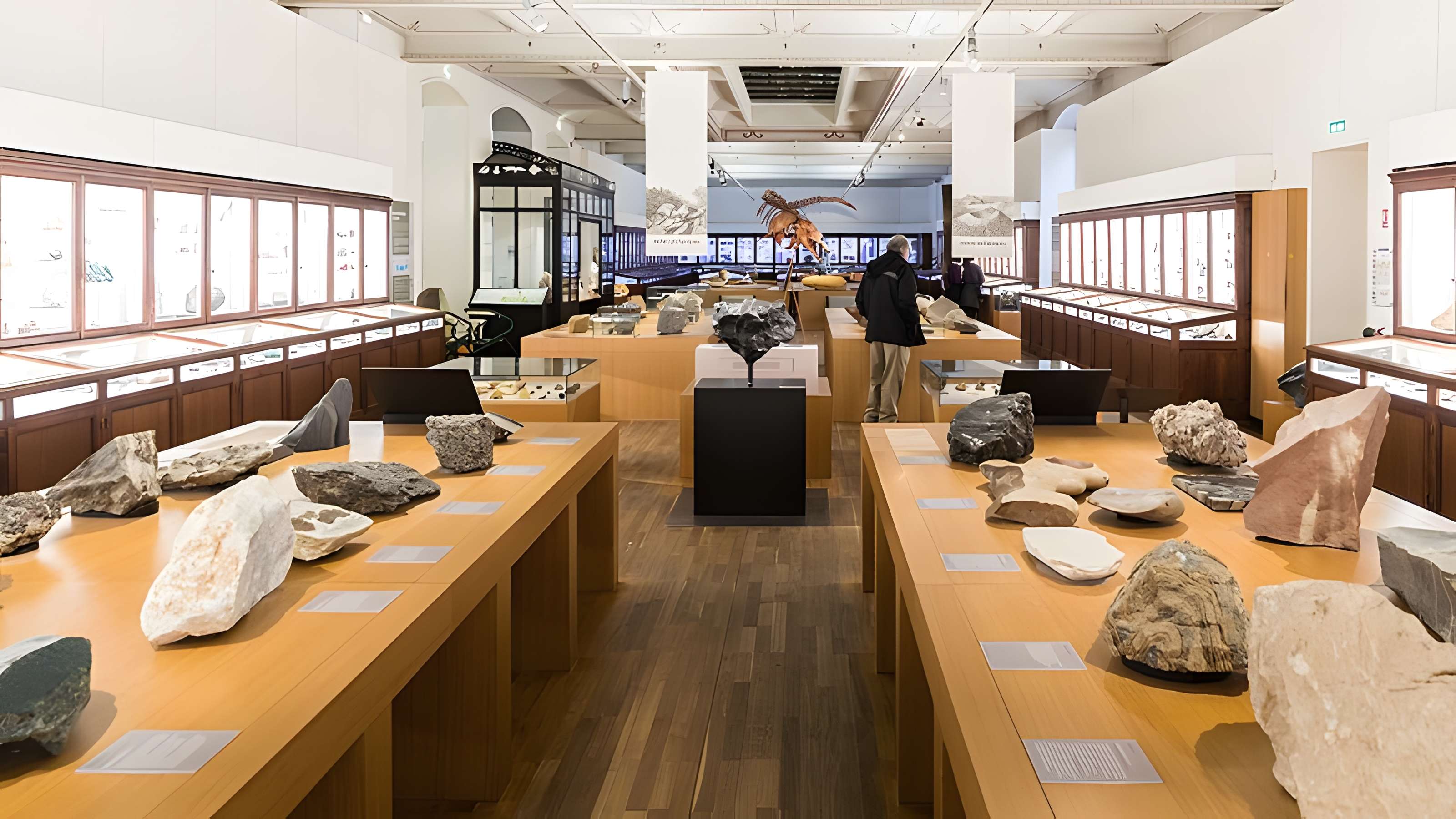 Muséum d'histoire naturelle de Nantes