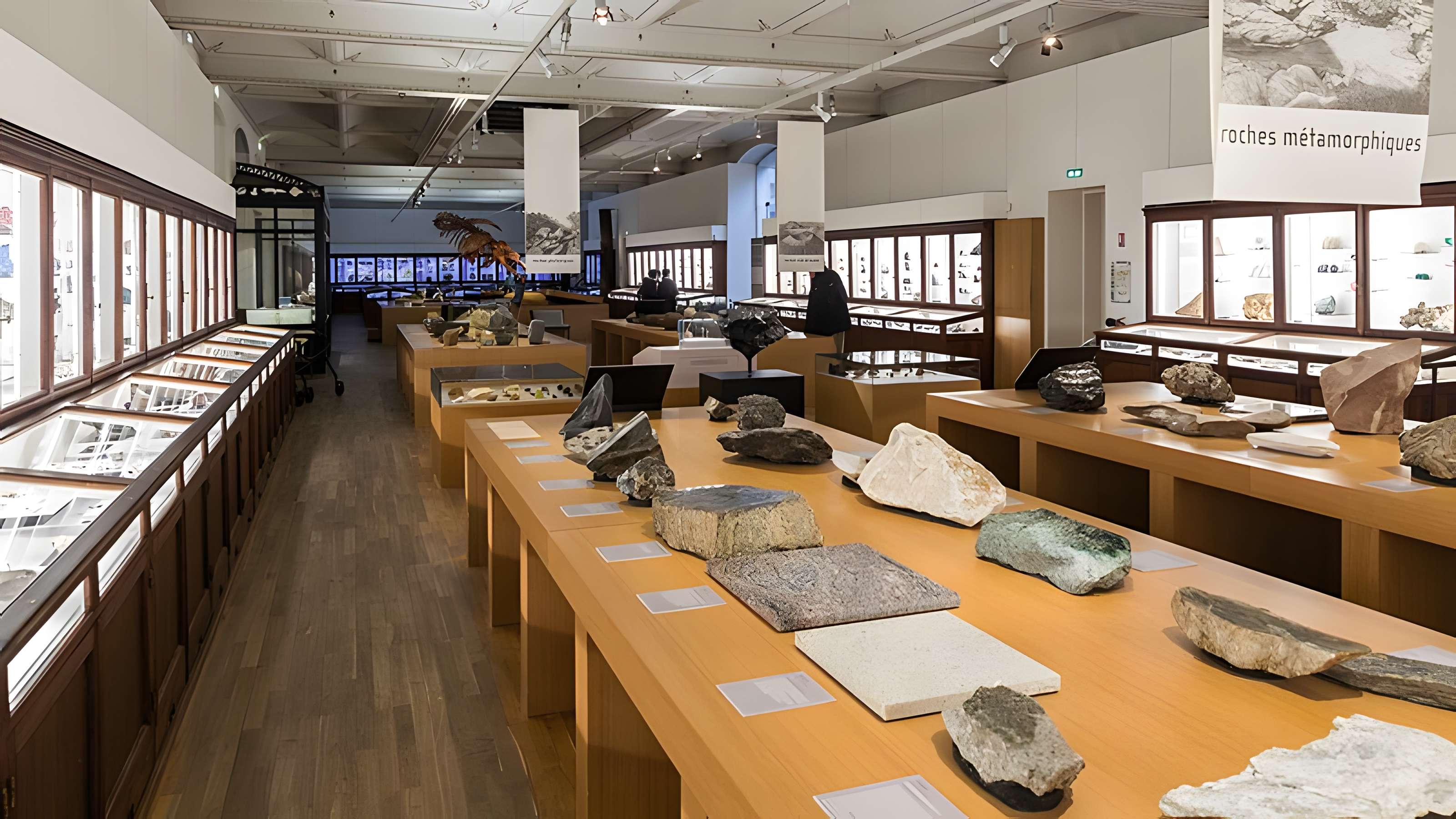 Muséum d'histoire naturelle de Nantes