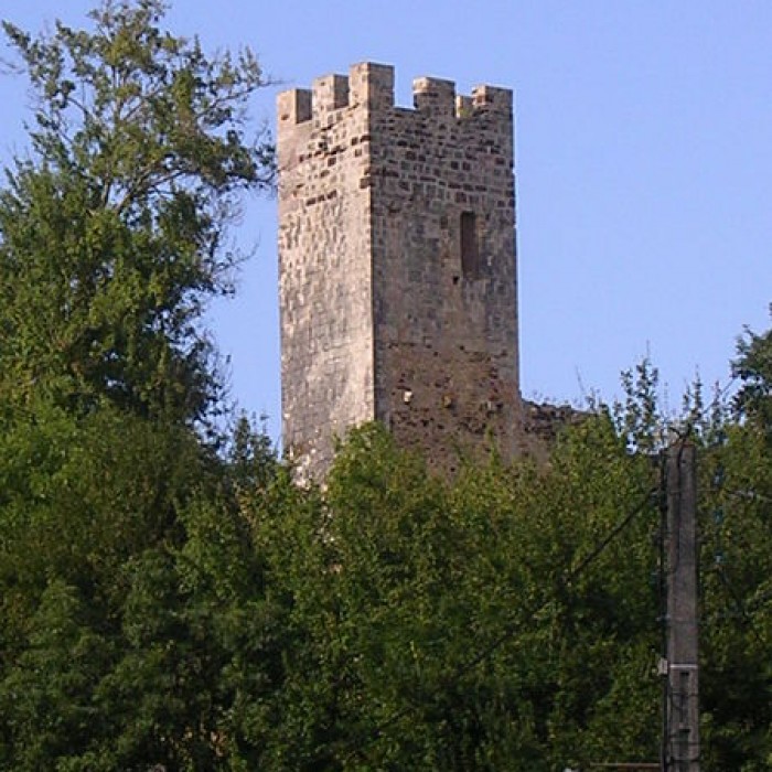 Photo de Château de Sault