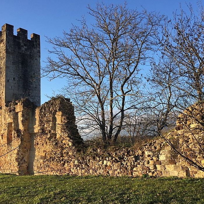 Photo de Château de Sault