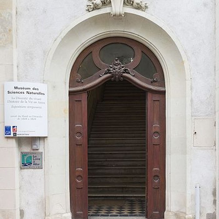 Photo de Muséum dhistoire naturelle dAngers
