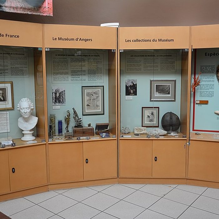 Photo de Muséum dhistoire naturelle dAngers