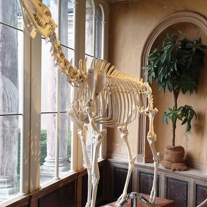 Photo de Muséum dhistoire naturelle dAngers