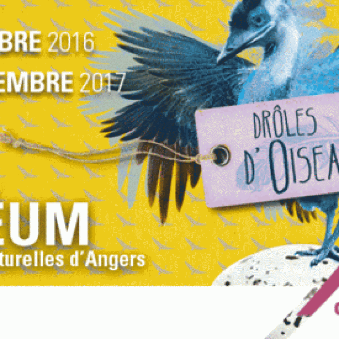 Photo de Muséum dhistoire naturelle dAngers