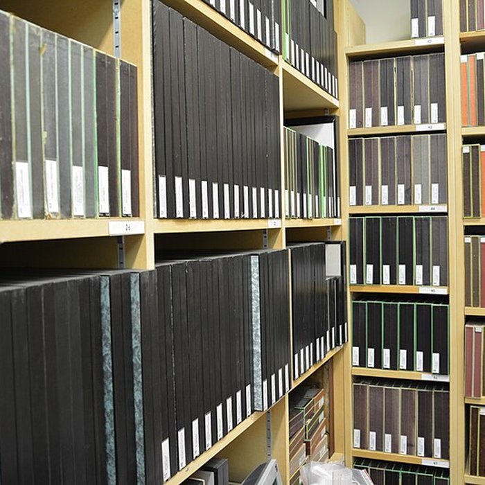 Photo de Muséum dhistoire naturelle dAngers