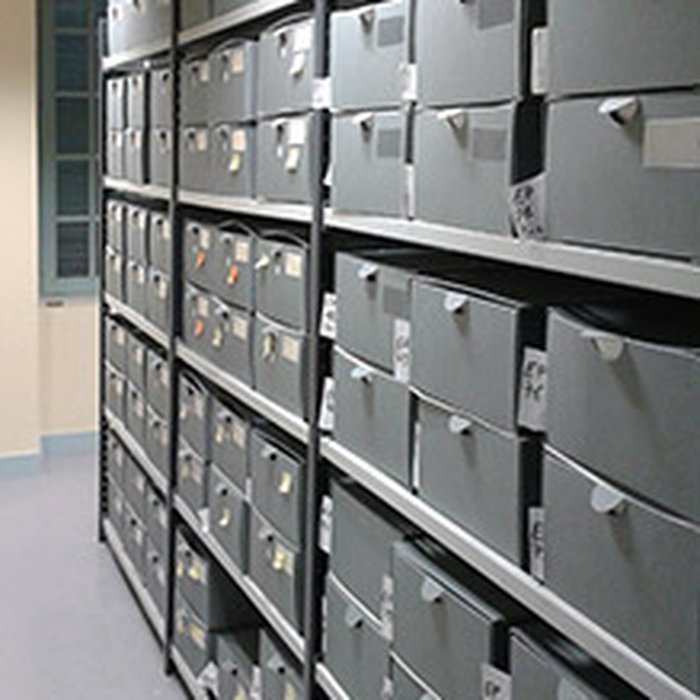 Photo de Muséum dhistoire naturelle dAngers