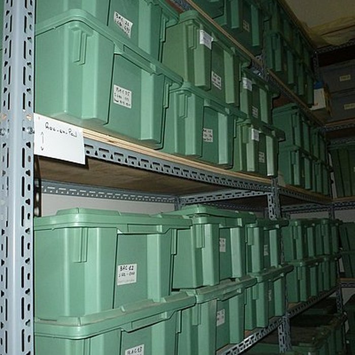 Photo de Muséum dhistoire naturelle dAngers