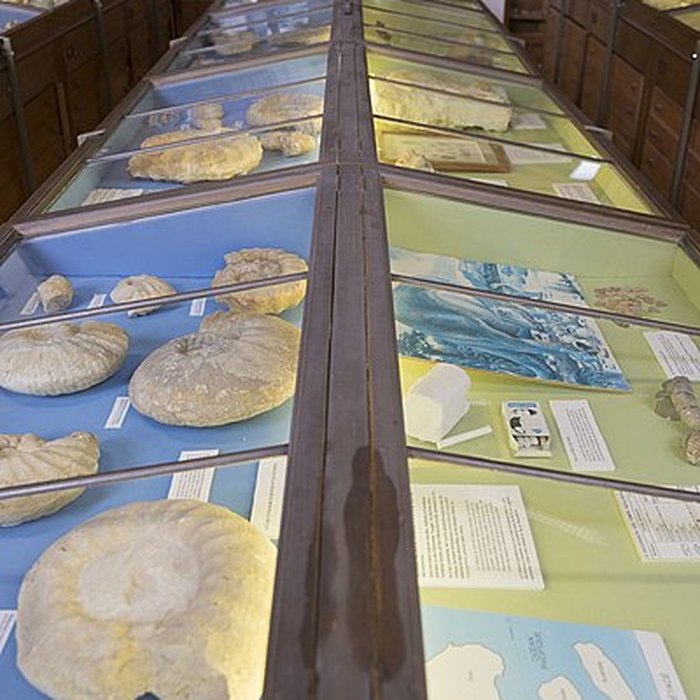 Photo de Muséum dhistoire naturelle dAngers