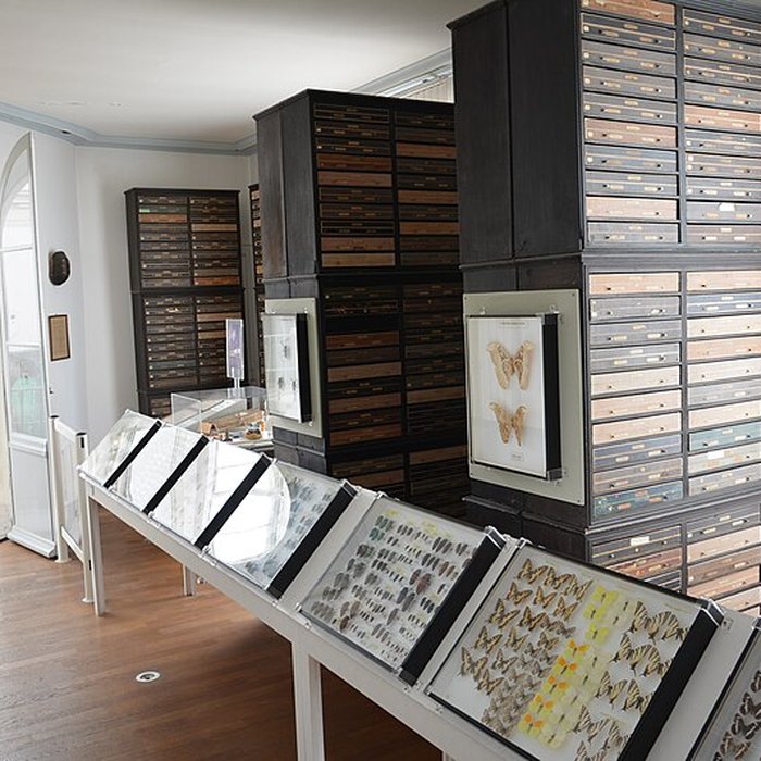 Photo de Muséum dhistoire naturelle dAngers