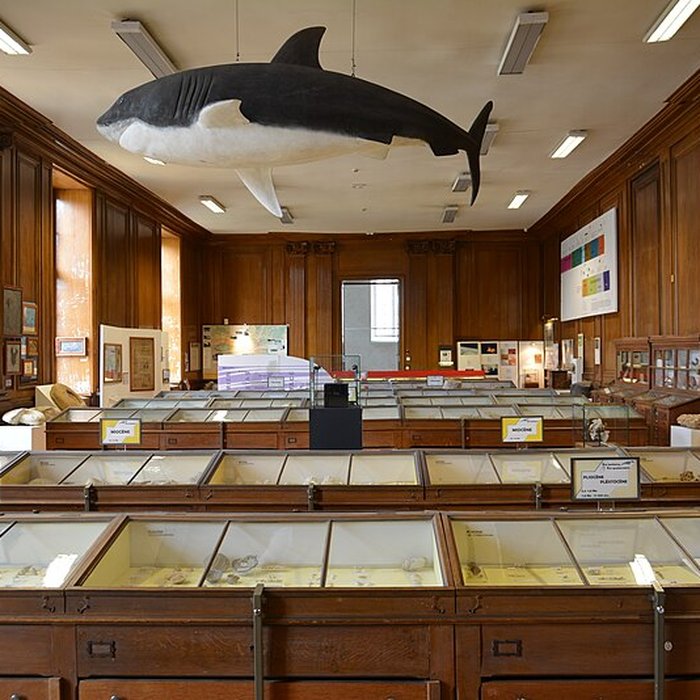 Photo de Muséum dhistoire naturelle dAngers