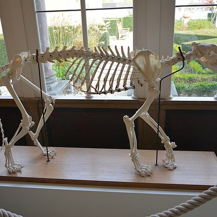 Photo de Muséum dhistoire naturelle dAngers