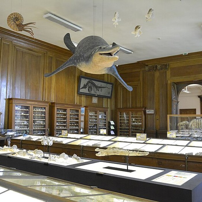 Photo de Muséum dhistoire naturelle dAngers