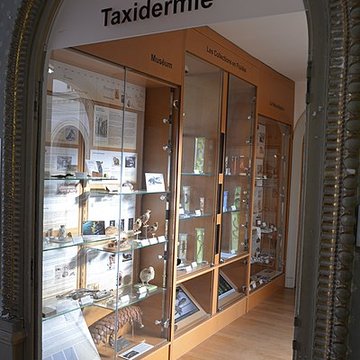 Muséum dhistoire naturelle dAngers