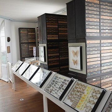 Muséum dhistoire naturelle dAngers