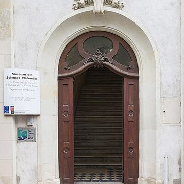 Muséum dhistoire naturelle dAngers