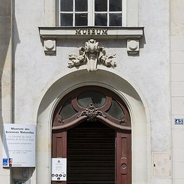 Muséum dhistoire naturelle dAngers