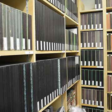 Muséum dhistoire naturelle dAngers