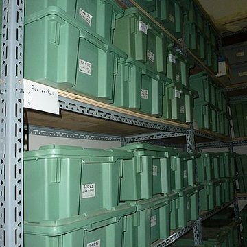 Muséum dhistoire naturelle dAngers