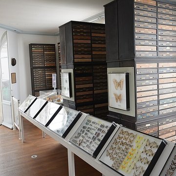 Muséum dhistoire naturelle dAngers