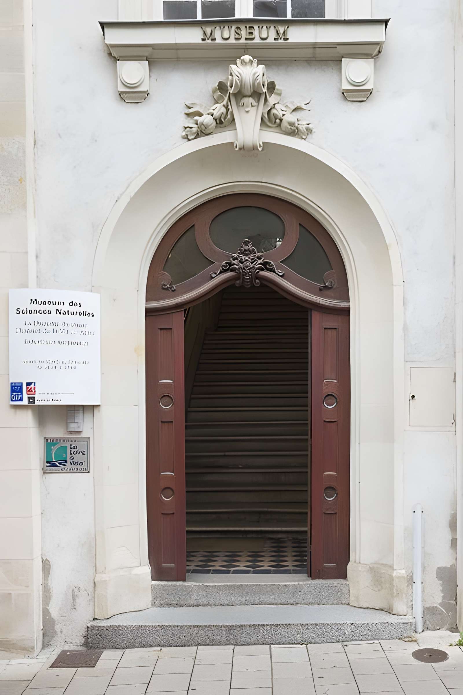 Muséum d'histoire naturelle d'Angers