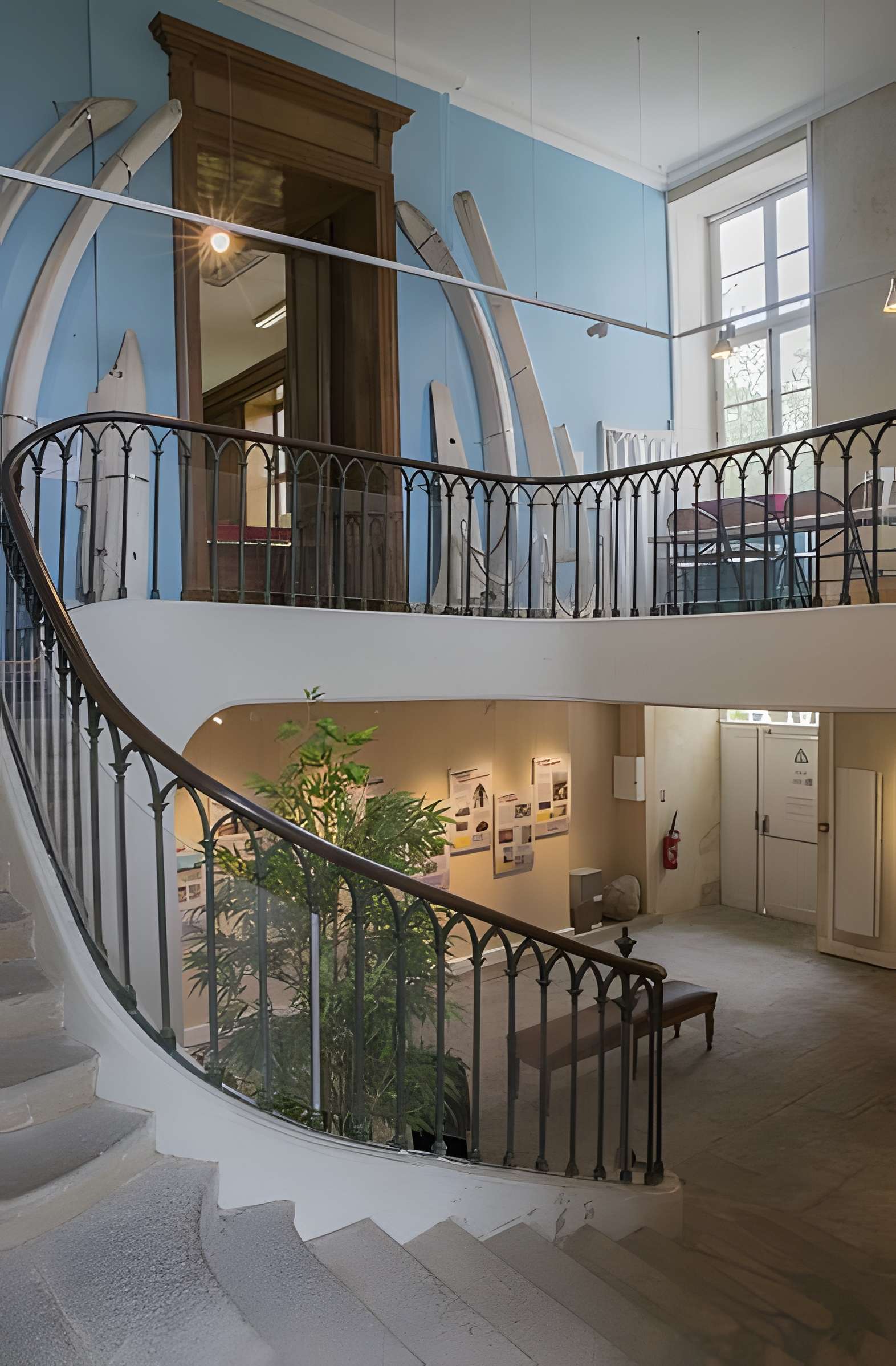 Muséum d'histoire naturelle d'Angers
