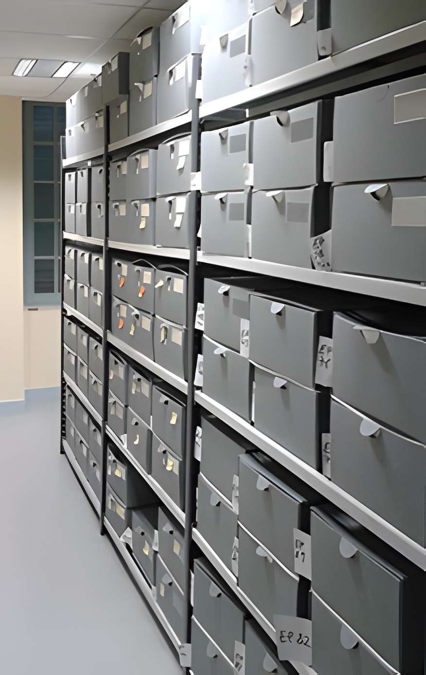 Muséum d'histoire naturelle d'Angers