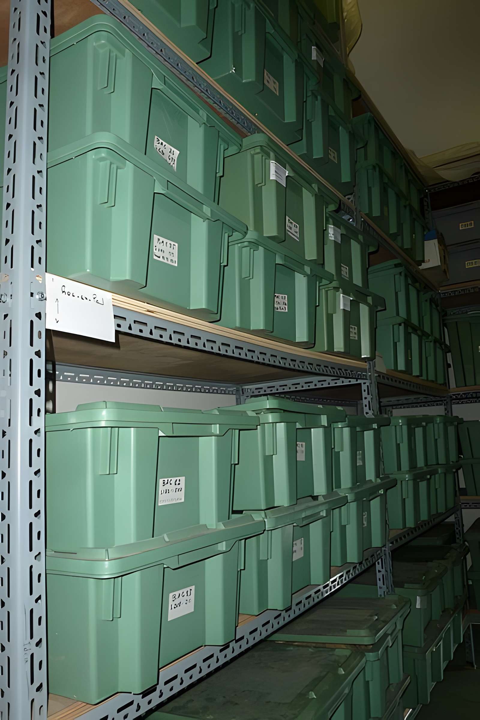 Muséum d'histoire naturelle d'Angers