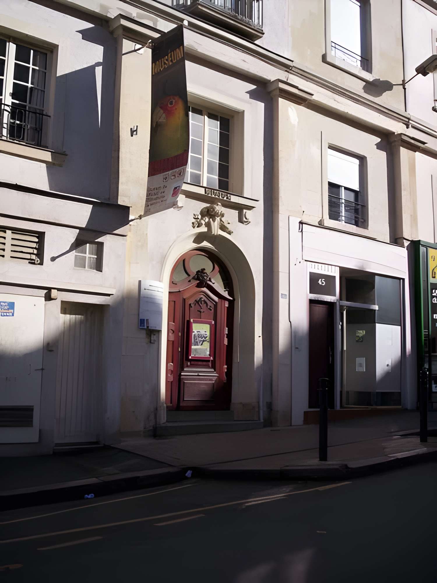 Muséum d'histoire naturelle d'Angers