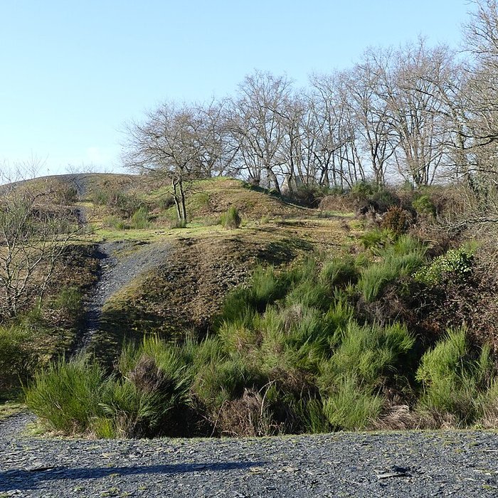 Photo de Musée de lardoise de Trélazé
